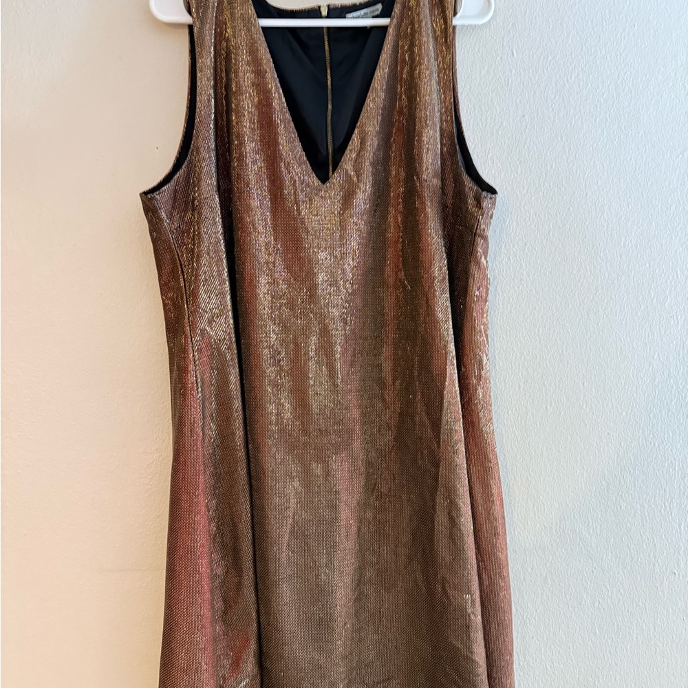 Charlotte Russe Mini Dress